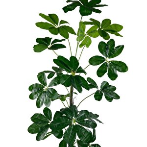 Yapay Ağaç Şeflera 18 Dallı Çalılı Gövde 120x60cm Gümüş Aleminyum Saksıda