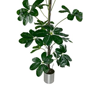 Yapay Ağaç Şeflera 18 Dallı Çalılı Gövde 120x60cm Gümüş Aleminyum Saksıda