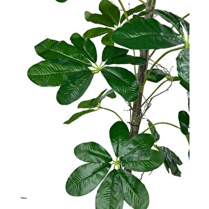 Yapay Ağaç Şeflera 18 Dallı Çalılı Gövde 120x60cm Gümüş Aleminyum Saksıda