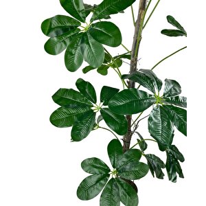 Yapay Ağaç Şeflera 18 Dallı Çalılı Gövde 120x60cm Gümüş Aleminyum Saksıda