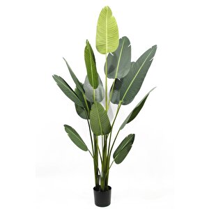 Yapay Ağaç Muz Ağacı Salon Bitkisi 200cm 21yaprak