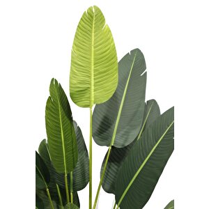 Yapay Ağaç Muz Ağacı Salon Bitkisi 200cm 21yaprak