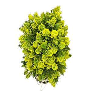 Yapay Çiçek Bonsai Ağacı Sarı Kozalaklı Kütük Saksıda Dekoratif Yapay Ağaç Bonzai 30*15 Cm