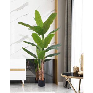 Yapay Ağaç Muz Ağacı Yapay Starliçe 240cm