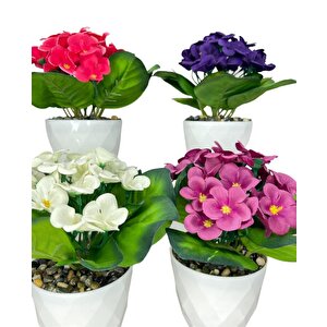 4lü Set Yapay Çiçek Kadife Menekşe Beyaz Saksıda Gerçekçi Doku  Karışık Renkli