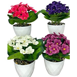 4lü Set Yapay Çiçek Kadife Menekşe Beyaz Saksıda Gerçekçi Doku  Karışık Renkli