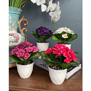 4lü Set Yapay Çiçek Kadife Menekşe Beyaz Saksıda Gerçekçi Doku  Karışık Renkli