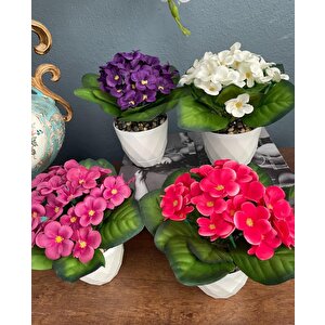 4lü Set Yapay Çiçek Kadife Menekşe Beyaz Saksıda Gerçekçi Doku  Karışık Renkli