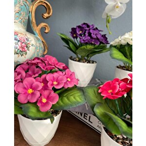 4lü Set Yapay Çiçek Kadife Menekşe Beyaz Saksıda Gerçekçi Doku  Karışık Renkli