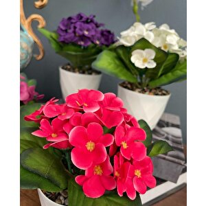 4lü Set Yapay Çiçek Kadife Menekşe Beyaz Saksıda Gerçekçi Doku  Karışık Renkli