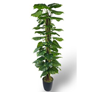 Yapay Çiçek Pothos Salon Sarmaşığı Tropik Salon Bitkisi Yapay Ağaç 165cm
