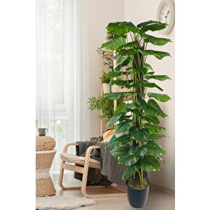 Yapay Çiçek Pothos Salon Sarmaşığı Tropik Salon Bitkisi Yapay Ağaç 165cm