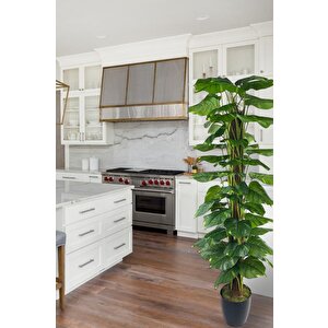 Yapay Çiçek Pothos Salon Sarmaşığı Tropik Salon Bitkisi Yapay Ağaç 165cm