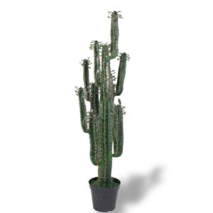 Yapay Çiçek Kaktüs Ağacı Siyah Saksıda 145*37cm 10 Kollu