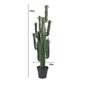 Yapay Çiçek Kaktüs Ağacı Siyah Saksıda 145*37cm 10 Kollu