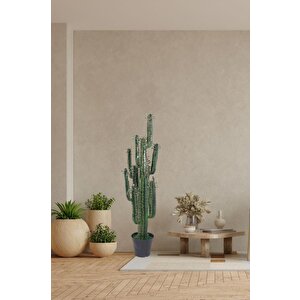 Yapay Çiçek Kaktüs Ağacı Siyah Saksıda 145*37cm 10 Kollu