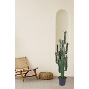 Yapay Çiçek Kaktüs Ağacı Siyah Saksıda 145*37cm 10 Kollu