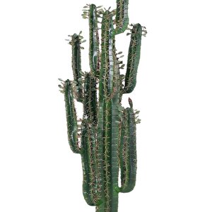 Yapay Çiçek Kaktüs Ağacı Siyah Saksıda 145*37cm 10 Kollu