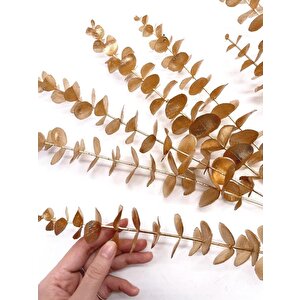 Yapay Çiçek Gold Altın Renk Okaliptus 3dallı Uzun Dal 76cm Eucalyptus