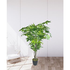 Yapay Ağaç Yeşil Çınar Ağacı100x70cm Siyah Plastik Saksılı
