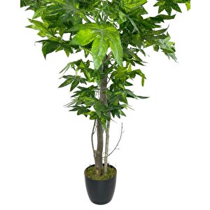 Yapay Ağaç Yeşil Çınar Ağacı100x70cm Siyah Plastik Saksılı