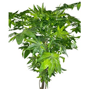 Yapay Ağaç Yeşil Çınar Ağacı100x70cm Siyah Plastik Saksılı