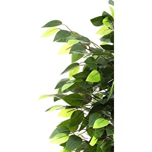 Yapay Ağaç Benjamin Yeşil 2 Gövdeli 110*70cm Siyah Plastik Saksılı