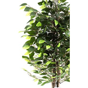 Yapay Ağaç Benjamin Yeşil 2 Gövdeli 110*70cm Siyah Plastik Saksılı