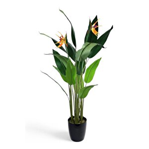 Yapay Ağaç Starliçe 160cm Horoz İbiği Çiçekli Bird Of Paradise Artificial Plants