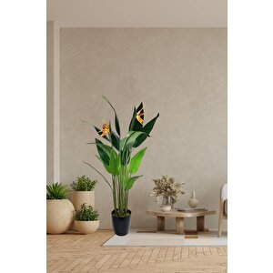 Yapay Ağaç Starliçe 160cm Horoz İbiği Çiçekli Bird Of Paradise Artificial Plants