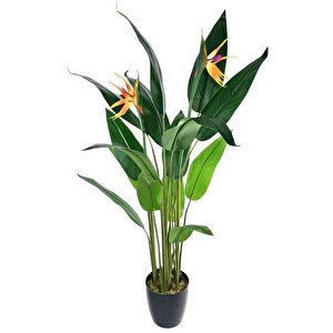 Yapay Ağaç Starliçe 160cm Horoz İbiği Çiçekli Bird Of Paradise Artificial Plants