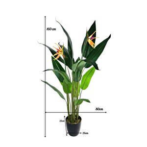 Yapay Ağaç Starliçe 160cm Horoz İbiği Çiçekli Bird Of Paradise Artificial Plants