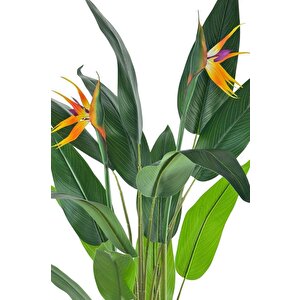 Yapay Ağaç Starliçe 160cm Horoz İbiği Çiçekli Bird Of Paradise Artificial Plants