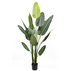 Yapay Ağaç Muz Ağacı Yapay Starliçe 160cm 13 Yaprak