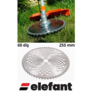 Tırpan Başı Disk  60t 255x25.4