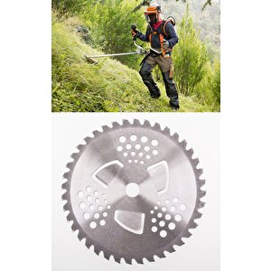 Tırpan Başı Disk  40t 255x25.4 (b Kalite)