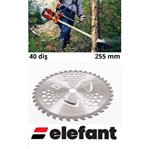 Tırpan Başı Disk  40t 255x25.4 (b Kalite)