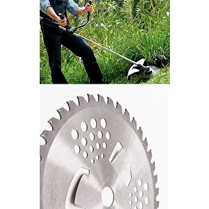 Tırpan Başı Disk  40t 255x25.4 (b Kalite)