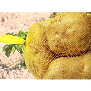 Örgü File, Dokuma File, Limon, Narenciye, Gıda Filesi