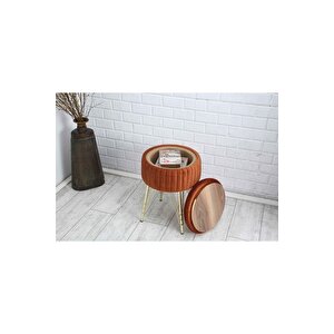 Bianco Metal Ayaklı Puflu Sehpa Altın Turuncu (gold Orange)