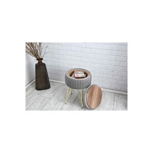 Bianco Metal Ayaklı Puflu Sehpa Altın Gümüş Gri (gold Si̇lver Grey)