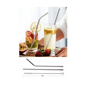 Paslanmaz Çelik Pipet Seti 4 Adet Çelik Pipet ( 4 Adet Çelik Pipet 2 Pipet Temizleme Fırçası)