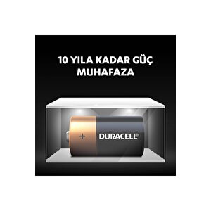 Alkalin C Piller, 2’li Paket