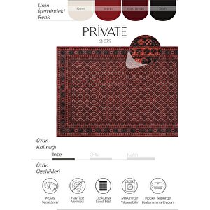 Private Kırmızı Halı Afgan Etnik Desen Yıkanabilir Dokuma Şönil Halı Otantik Salon Halısı 75x230 cm