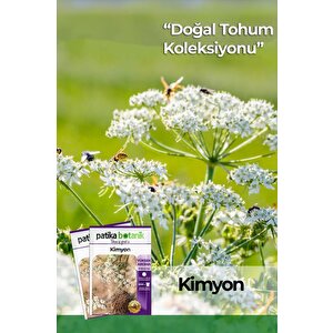 100 Adet Kimyon Tohumu