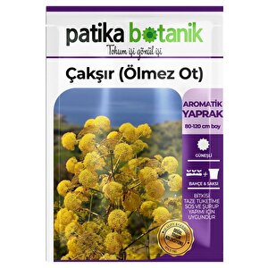 200 Adet Çakşır (ölmez Ot) Tohumu