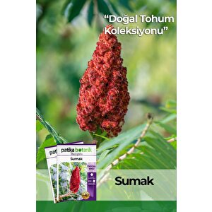 20 Adet Sumak Tohumu