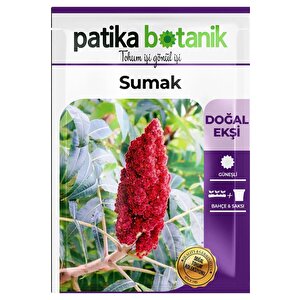 20 Adet Sumak Tohumu
