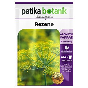 100 Adet Rezene Tohumu