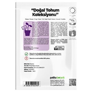 100 Adet Rezene Tohumu